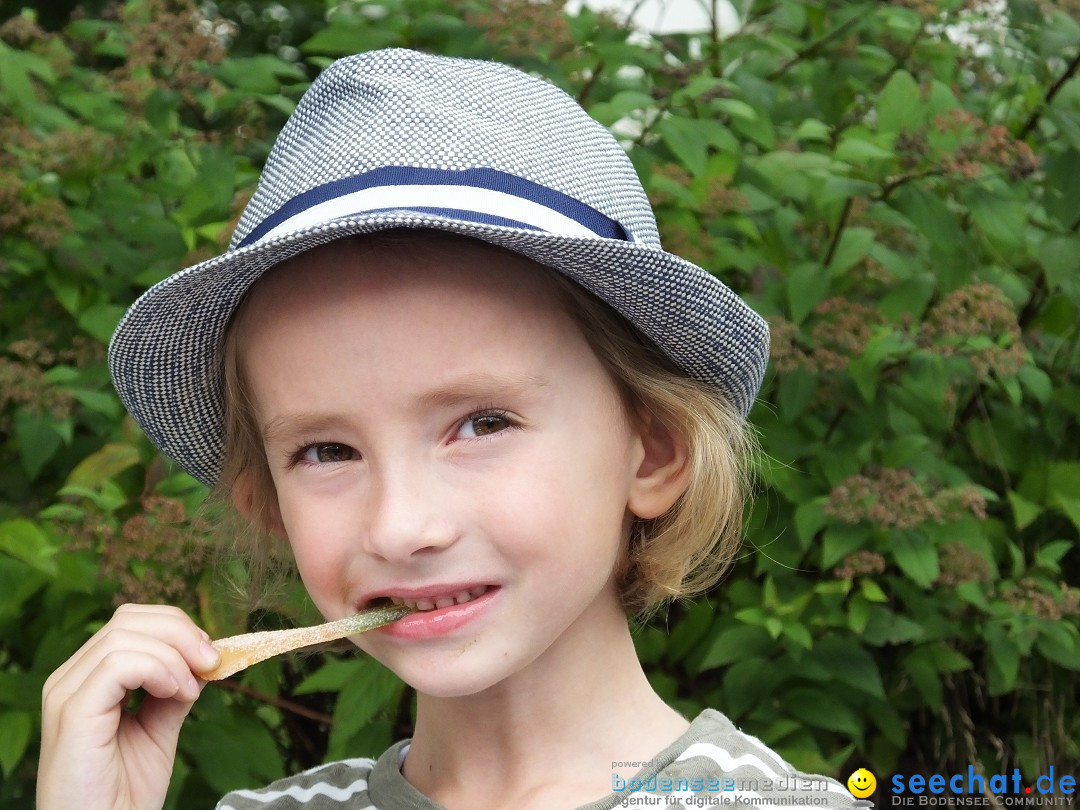 Schloss- und Kinderfest: Aulendorf, 17.08.2019