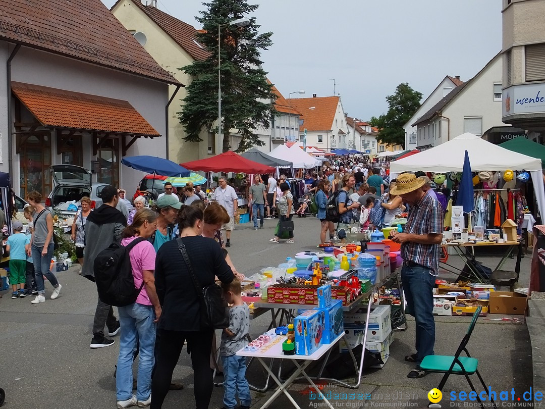 Schloss- und Kinderfest: Aulendorf, 17.08.2019