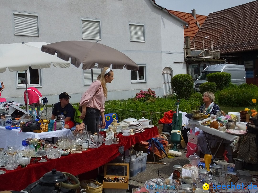 Schloss- und Kinderfest: Aulendorf, 17.08.2019