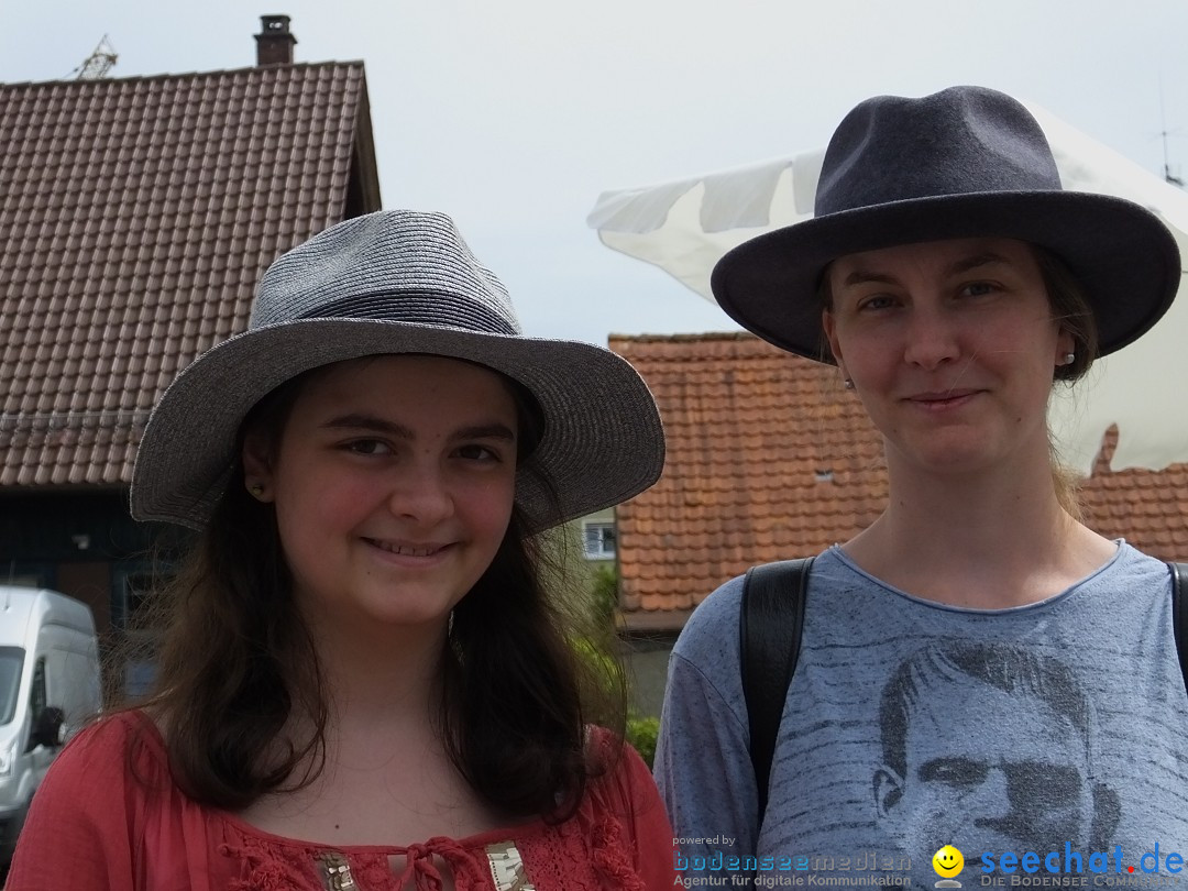 Schloss- und Kinderfest: Aulendorf, 17.08.2019