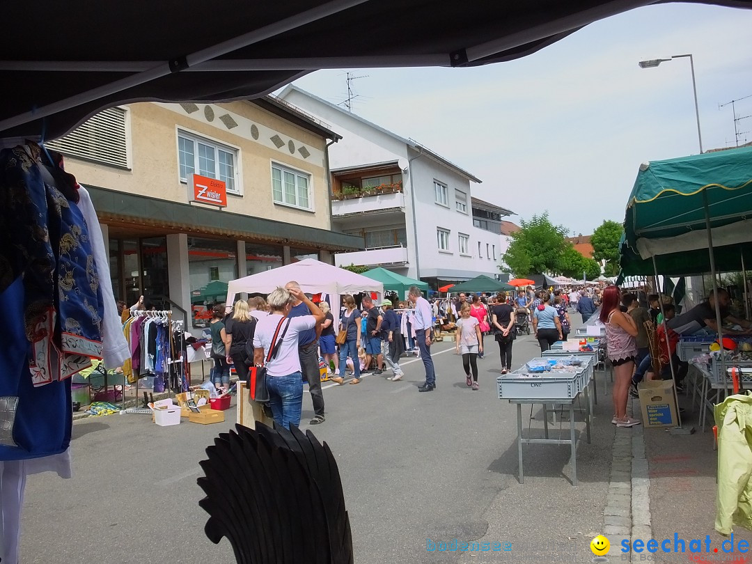 Schloss- und Kinderfest: Aulendorf, 17.08.2019