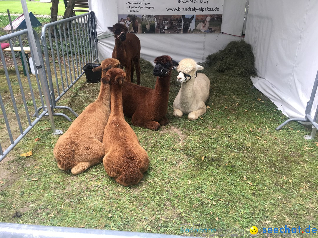 Stadtfest - Flohmarkt und HELA Treffen: Aulendorf, 22.09.2019