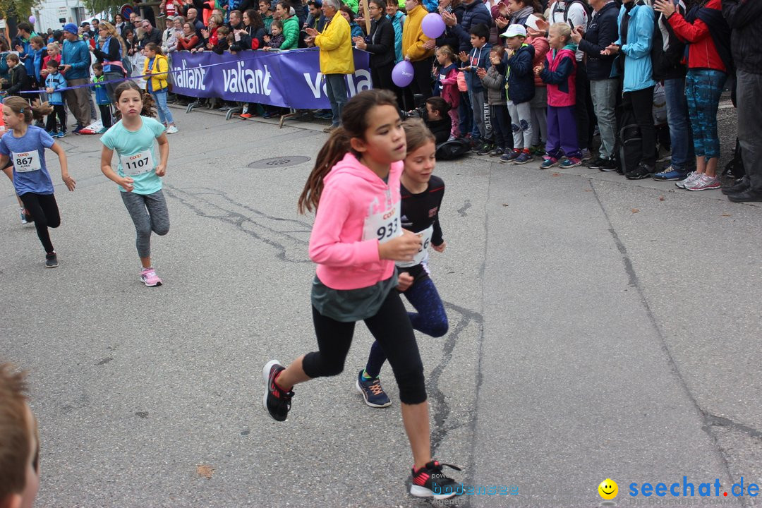 12. Bremgartenlauf - Lauf und Walking Event: Bremgarten - Bern, 20.10.2019