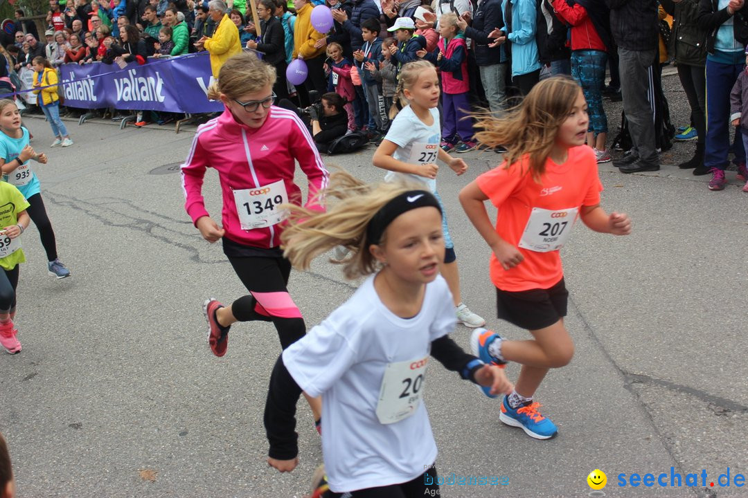 12. Bremgartenlauf - Lauf und Walking Event: Bremgarten - Bern, 20.10.2019