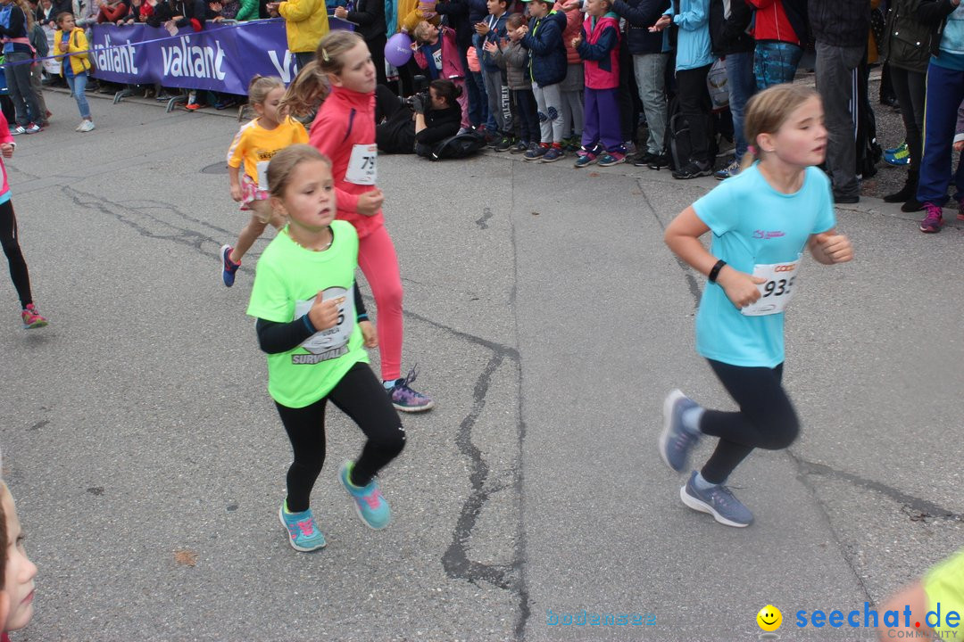 12. Bremgartenlauf - Lauf und Walking Event: Bremgarten - Bern, 20.10.2019