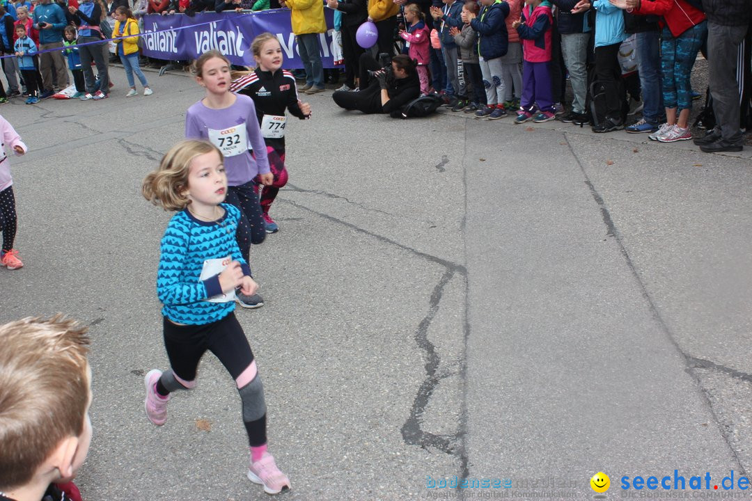 12. Bremgartenlauf - Lauf und Walking Event: Bremgarten - Bern, 20.10.2019