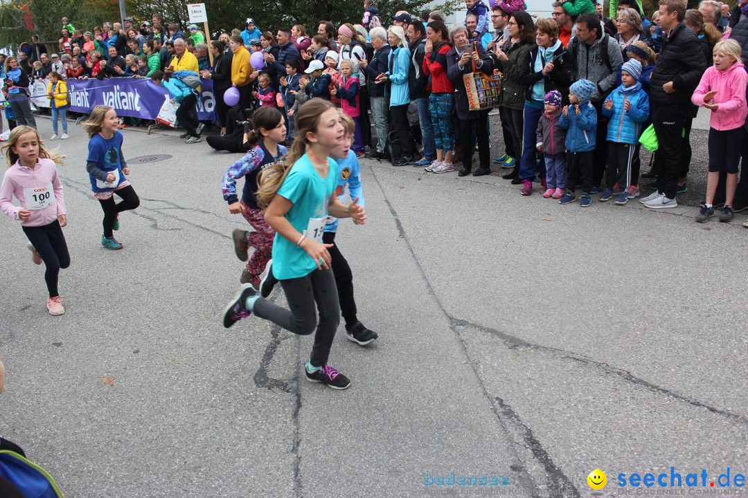 12. Bremgartenlauf - Lauf und Walking Event: Bremgarten - Bern, 20.10.2019