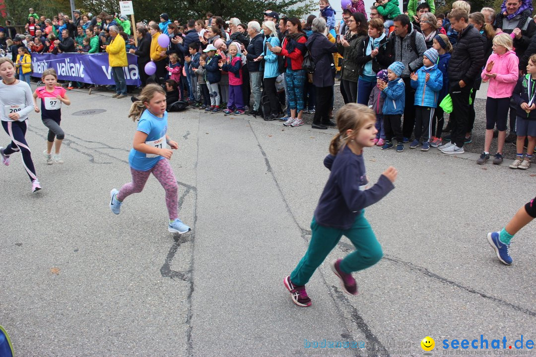 12. Bremgartenlauf - Lauf und Walking Event: Bremgarten - Bern, 20.10.2019