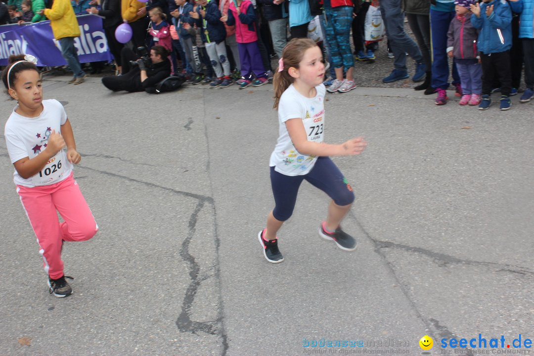 12. Bremgartenlauf - Lauf und Walking Event: Bremgarten - Bern, 20.10.2019