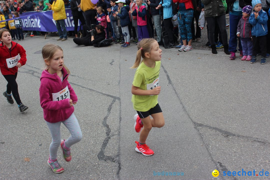 12. Bremgartenlauf - Lauf und Walking Event: Bremgarten - Bern, 20.10.2019