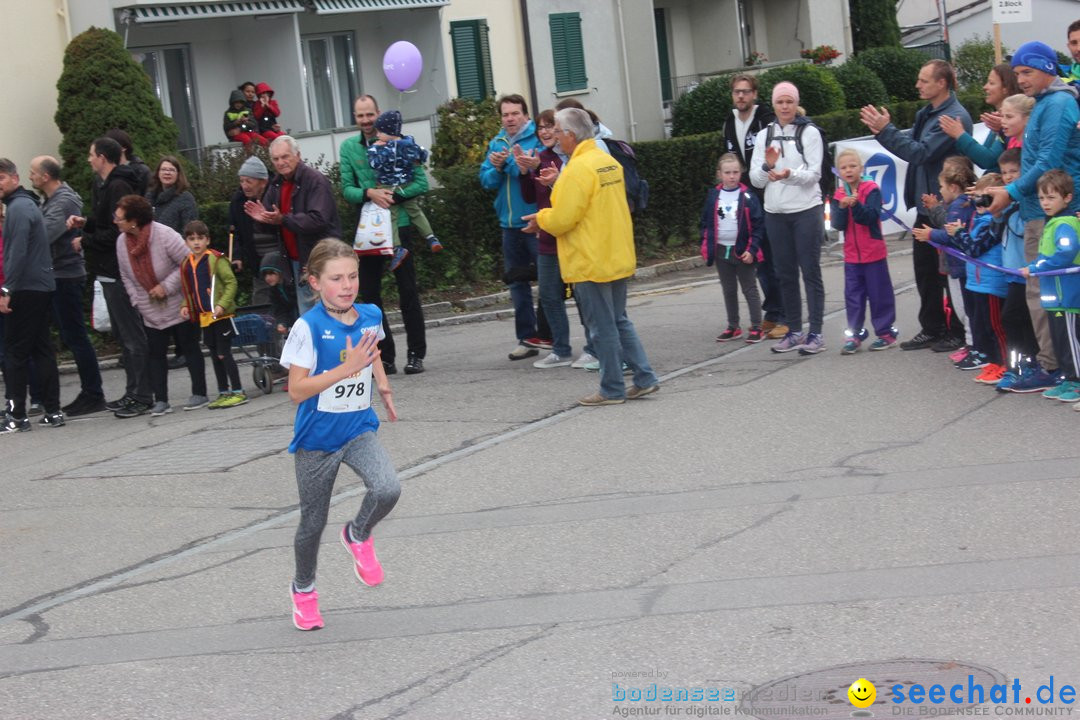 12. Bremgartenlauf - Lauf und Walking Event: Bremgarten - Bern, 20.10.2019