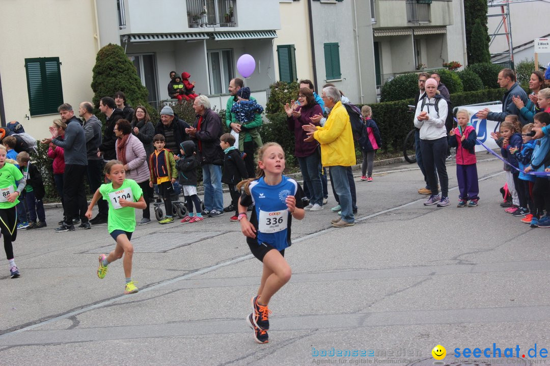 12. Bremgartenlauf - Lauf und Walking Event: Bremgarten - Bern, 20.10.2019