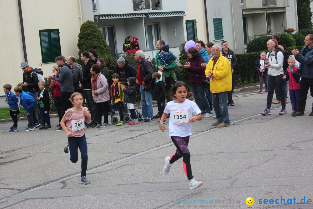 12. Bremgartenlauf - Lauf und Walking Event: Bremgarten - Bern, 20.10.2019