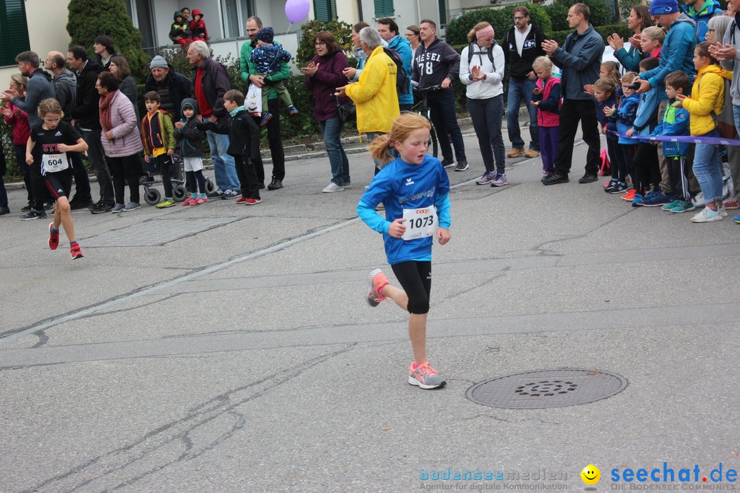 12. Bremgartenlauf - Lauf und Walking Event: Bremgarten - Bern, 20.10.2019