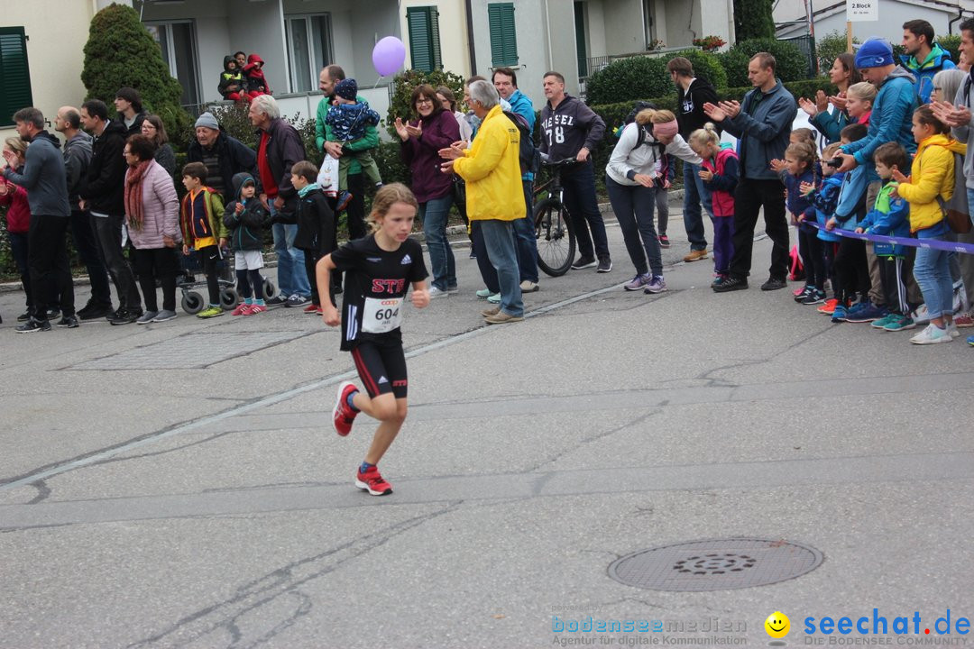 12. Bremgartenlauf - Lauf und Walking Event: Bremgarten - Bern, 20.10.2019