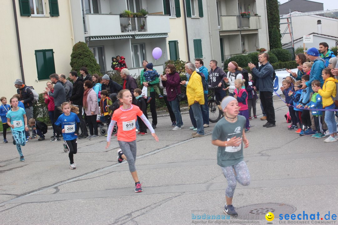 12. Bremgartenlauf - Lauf und Walking Event: Bremgarten - Bern, 20.10.2019