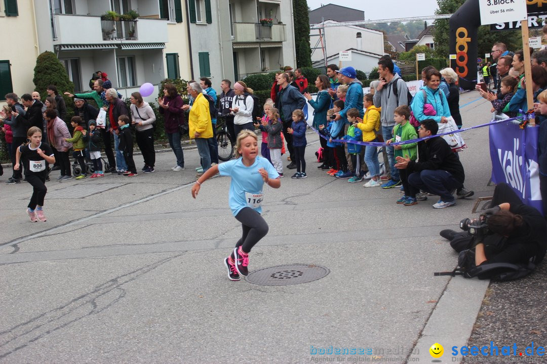 12. Bremgartenlauf - Lauf und Walking Event: Bremgarten - Bern, 20.10.2019