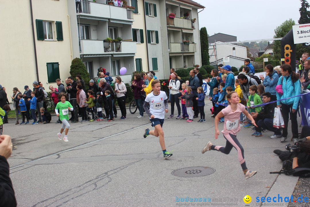 12. Bremgartenlauf - Lauf und Walking Event: Bremgarten - Bern, 20.10.2019