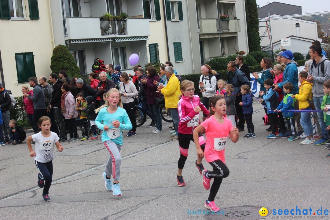 12. Bremgartenlauf - Lauf und Walking Event: Bremgarten - Bern, 20.10.2019