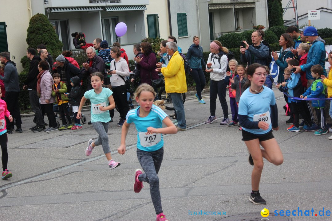 12. Bremgartenlauf - Lauf und Walking Event: Bremgarten - Bern, 20.10.2019