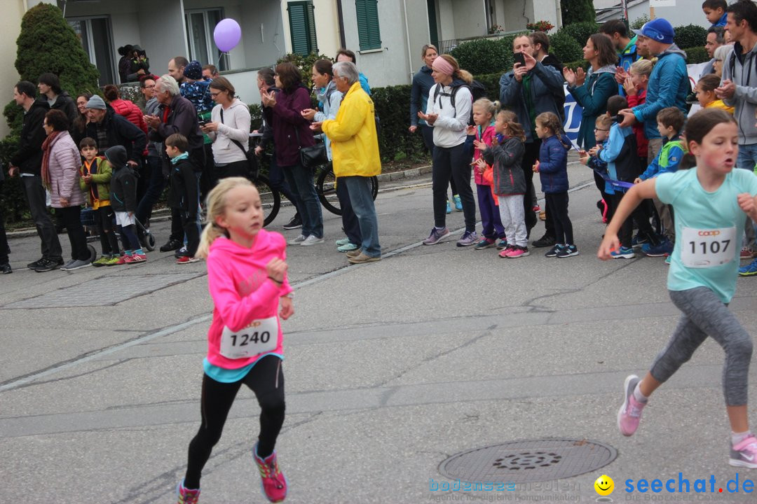 12. Bremgartenlauf - Lauf und Walking Event: Bremgarten - Bern, 20.10.2019