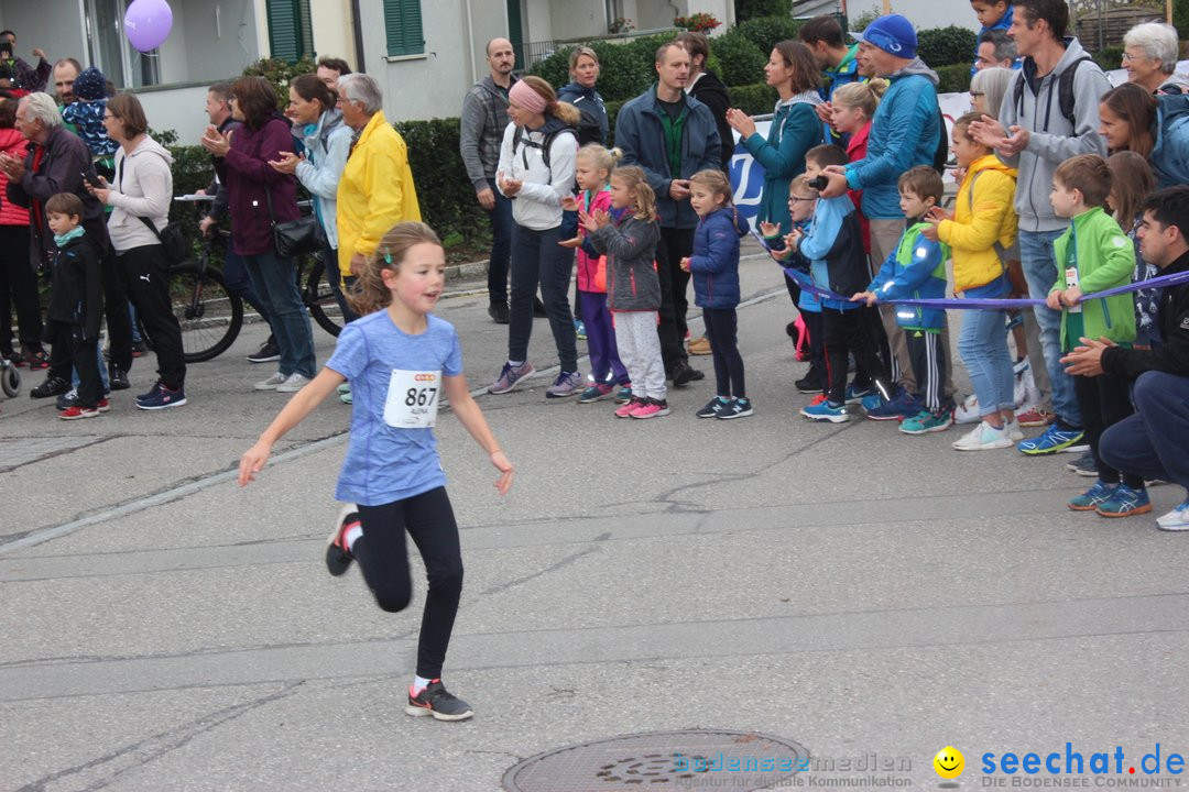 12. Bremgartenlauf - Lauf und Walking Event: Bremgarten - Bern, 20.10.2019