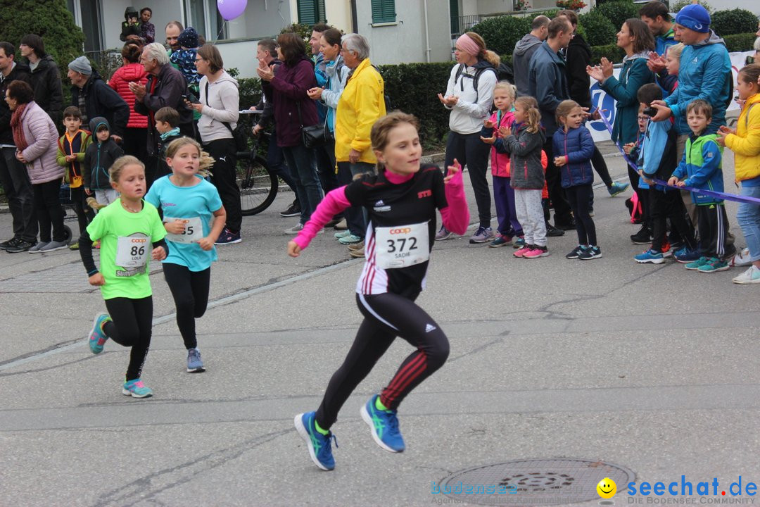 12. Bremgartenlauf - Lauf und Walking Event: Bremgarten - Bern, 20.10.2019