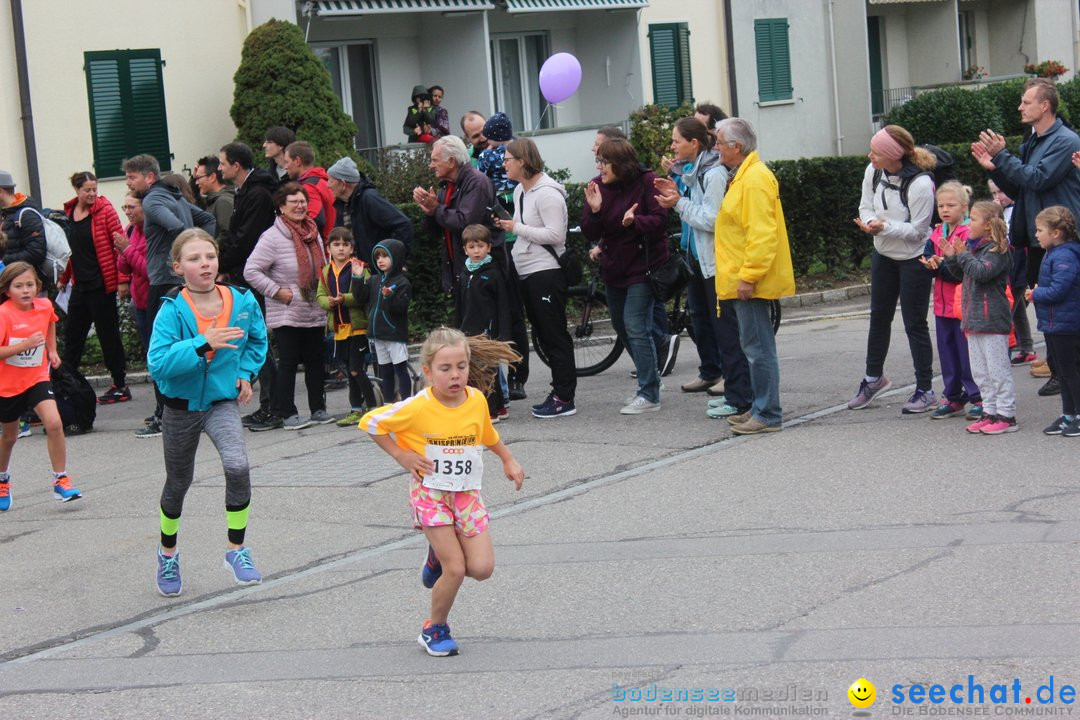 12. Bremgartenlauf - Lauf und Walking Event: Bremgarten - Bern, 20.10.2019