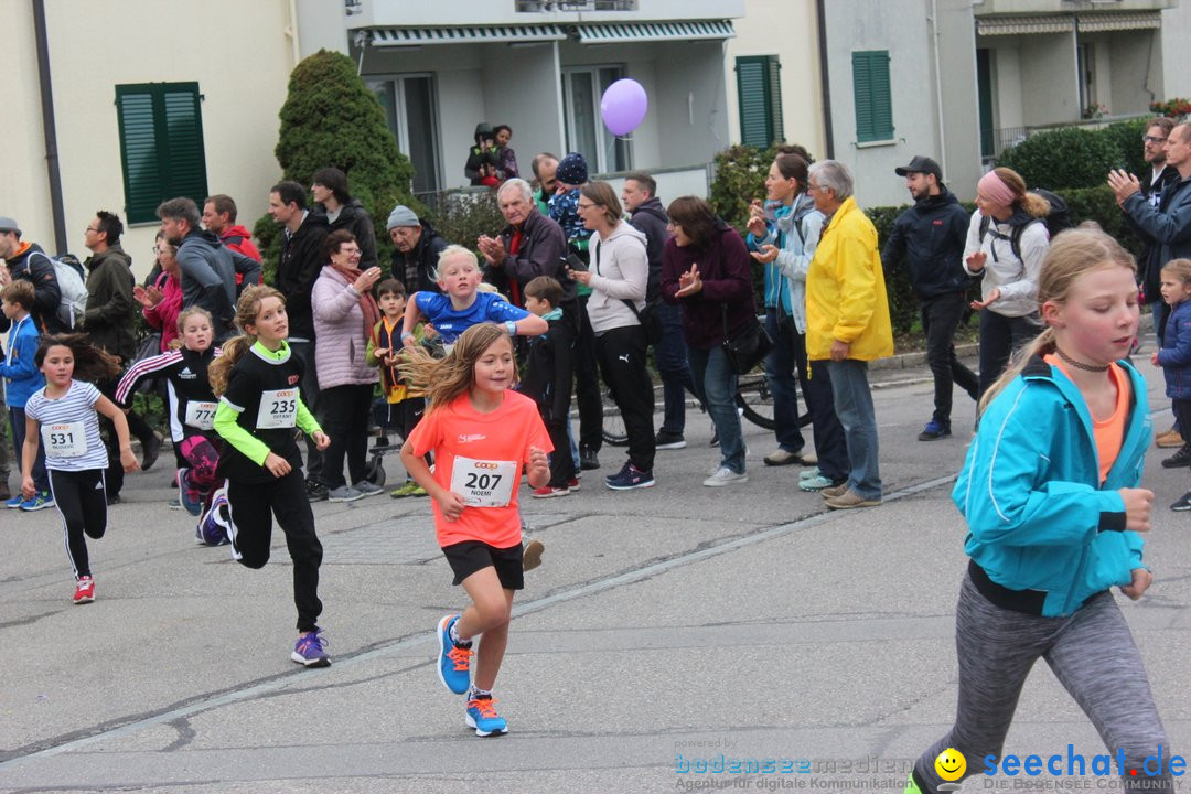 12. Bremgartenlauf - Lauf und Walking Event: Bremgarten - Bern, 20.10.2019