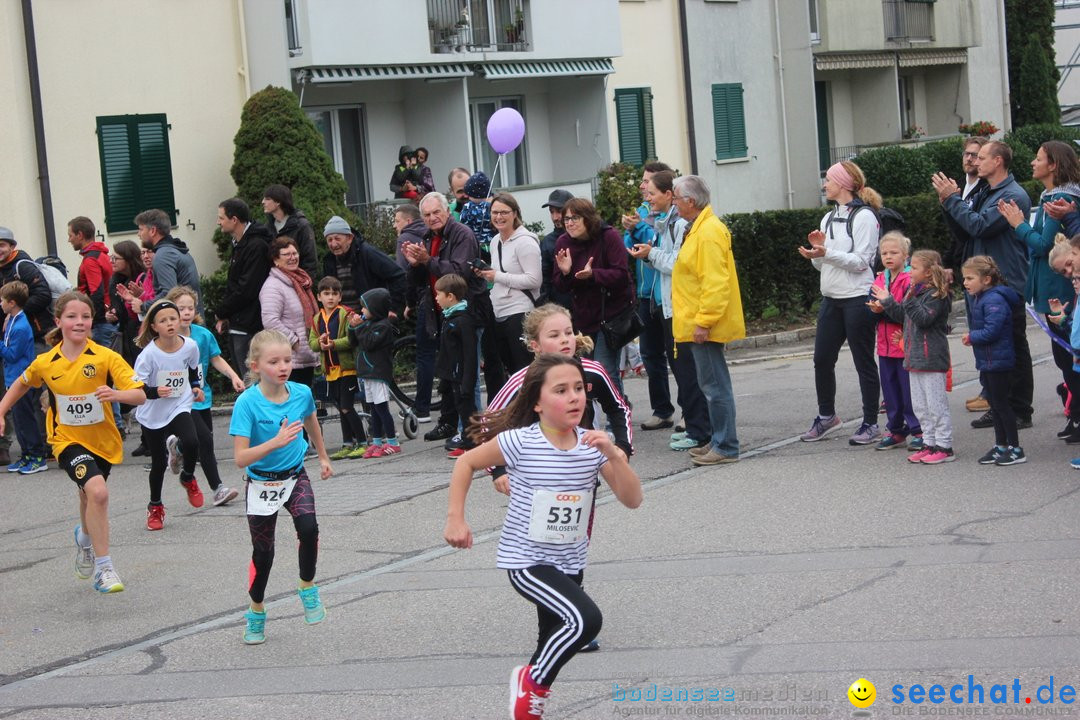 12. Bremgartenlauf - Lauf und Walking Event: Bremgarten - Bern, 20.10.2019