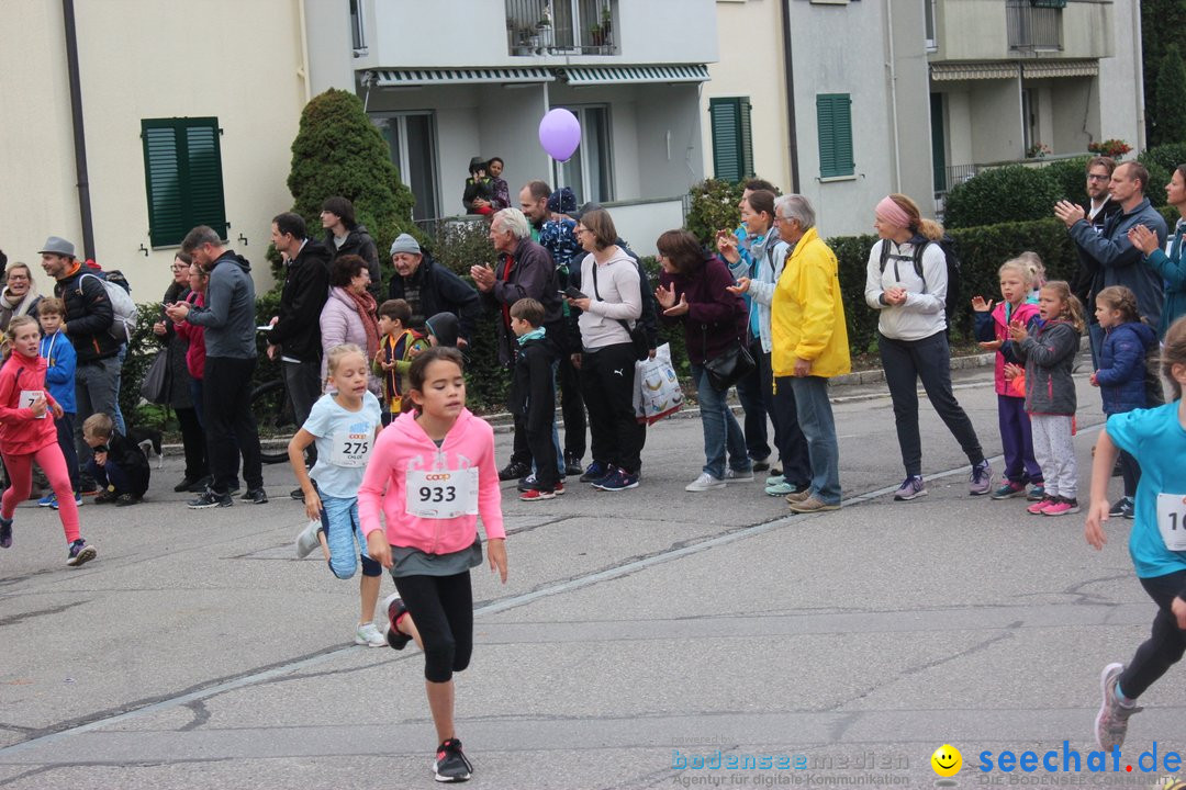 12. Bremgartenlauf - Lauf und Walking Event: Bremgarten - Bern, 20.10.2019