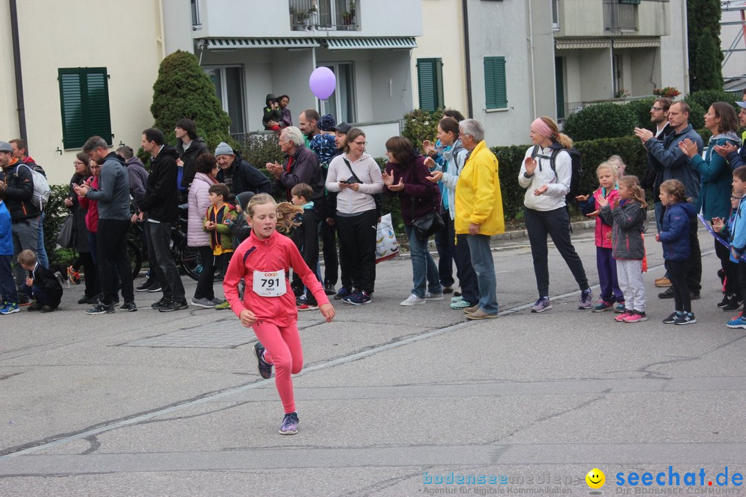 12. Bremgartenlauf - Lauf und Walking Event: Bremgarten - Bern, 20.10.2019