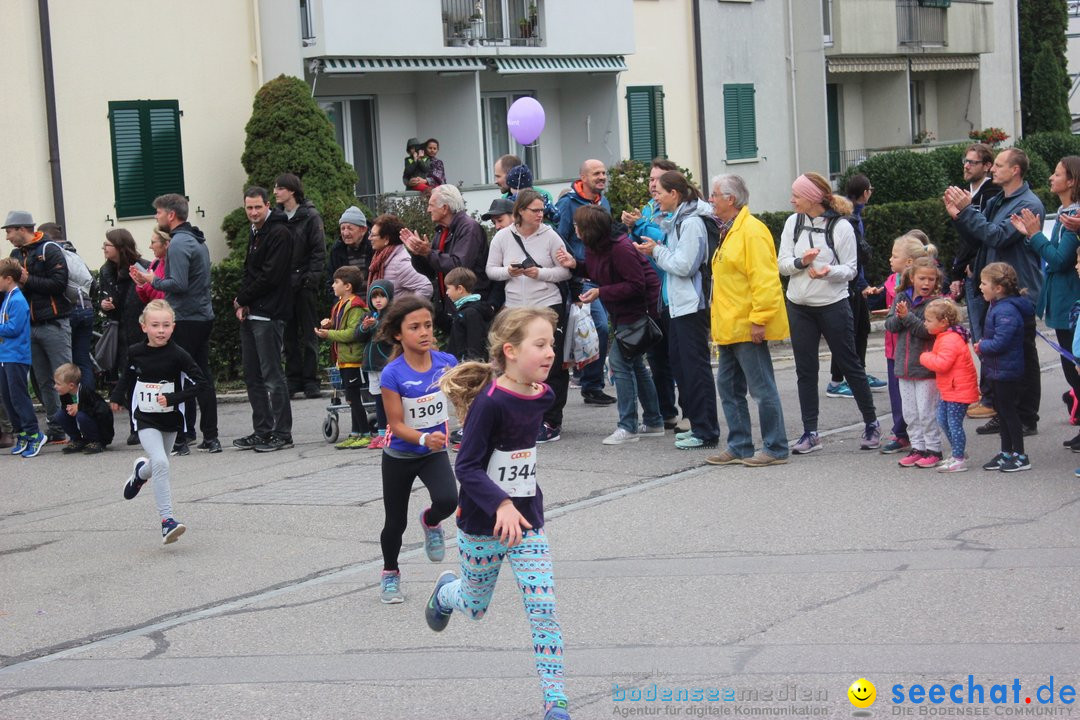 12. Bremgartenlauf - Lauf und Walking Event: Bremgarten - Bern, 20.10.2019