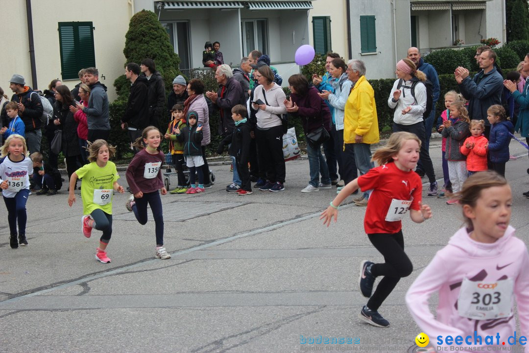 12. Bremgartenlauf - Lauf und Walking Event: Bremgarten - Bern, 20.10.2019