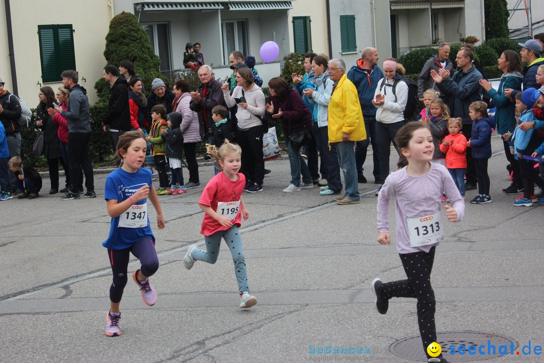 12. Bremgartenlauf - Lauf und Walking Event: Bremgarten - Bern, 20.10.2019