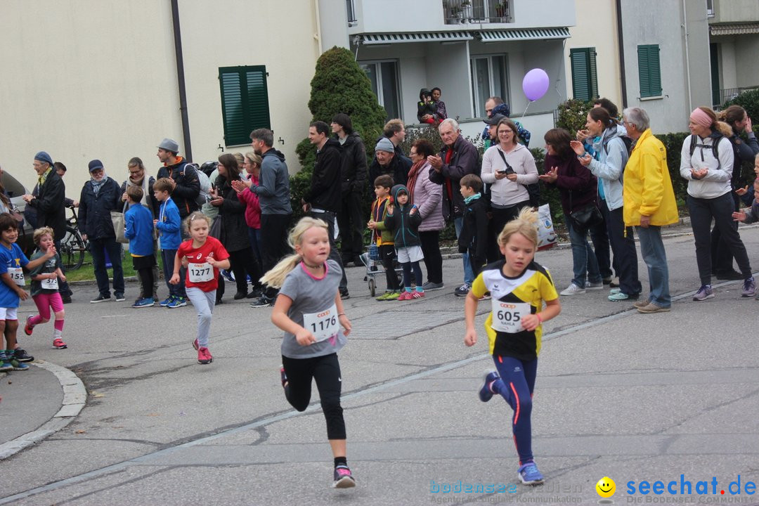 12. Bremgartenlauf - Lauf und Walking Event: Bremgarten - Bern, 20.10.2019