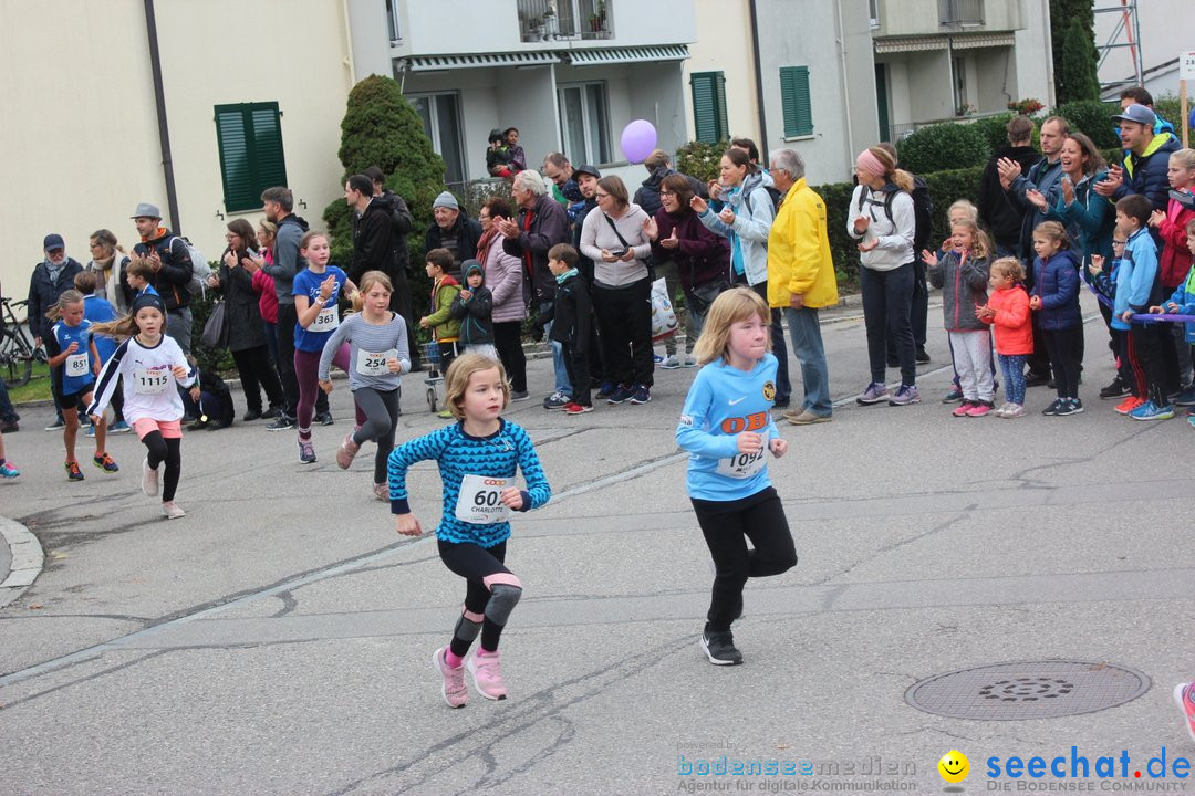 12. Bremgartenlauf - Lauf und Walking Event: Bremgarten - Bern, 20.10.2019