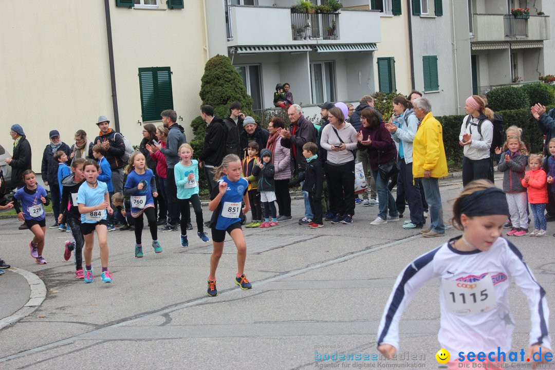 12. Bremgartenlauf - Lauf und Walking Event: Bremgarten - Bern, 20.10.2019