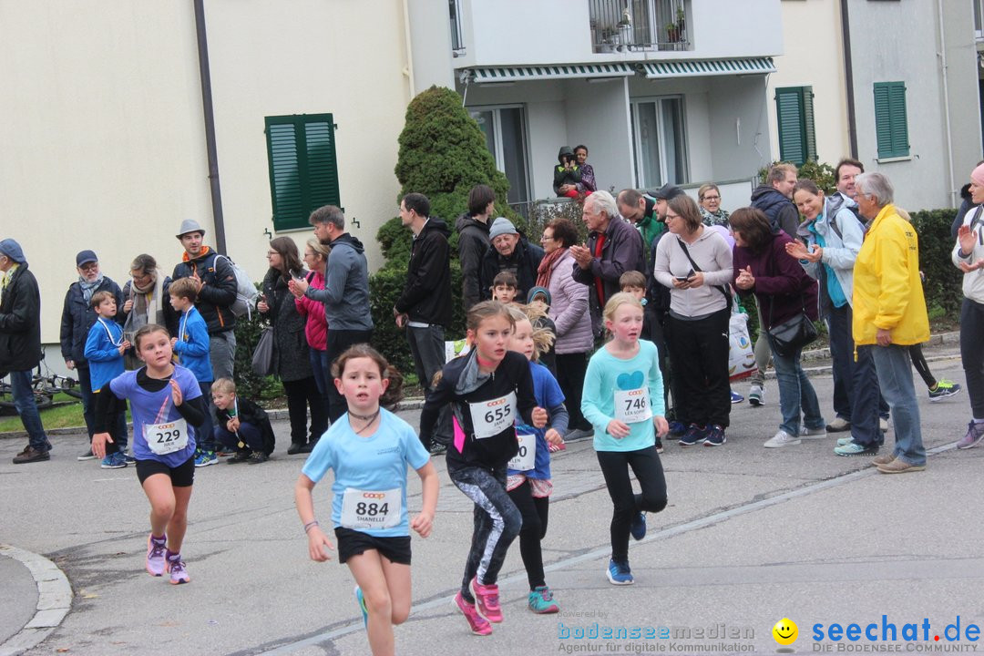 12. Bremgartenlauf - Lauf und Walking Event: Bremgarten - Bern, 20.10.2019