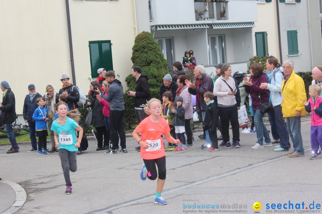 12. Bremgartenlauf - Lauf und Walking Event: Bremgarten - Bern, 20.10.2019