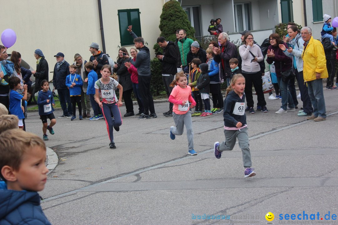 12. Bremgartenlauf - Lauf und Walking Event: Bremgarten - Bern, 20.10.2019