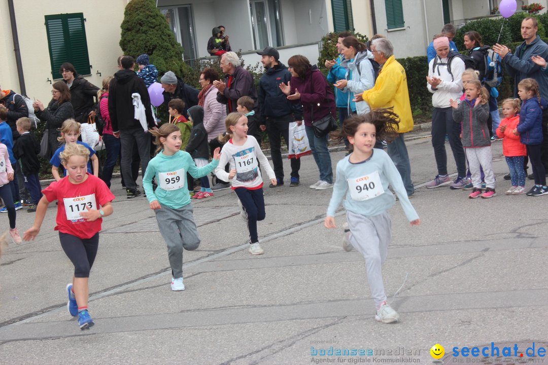 12. Bremgartenlauf - Lauf und Walking Event: Bremgarten - Bern, 20.10.2019