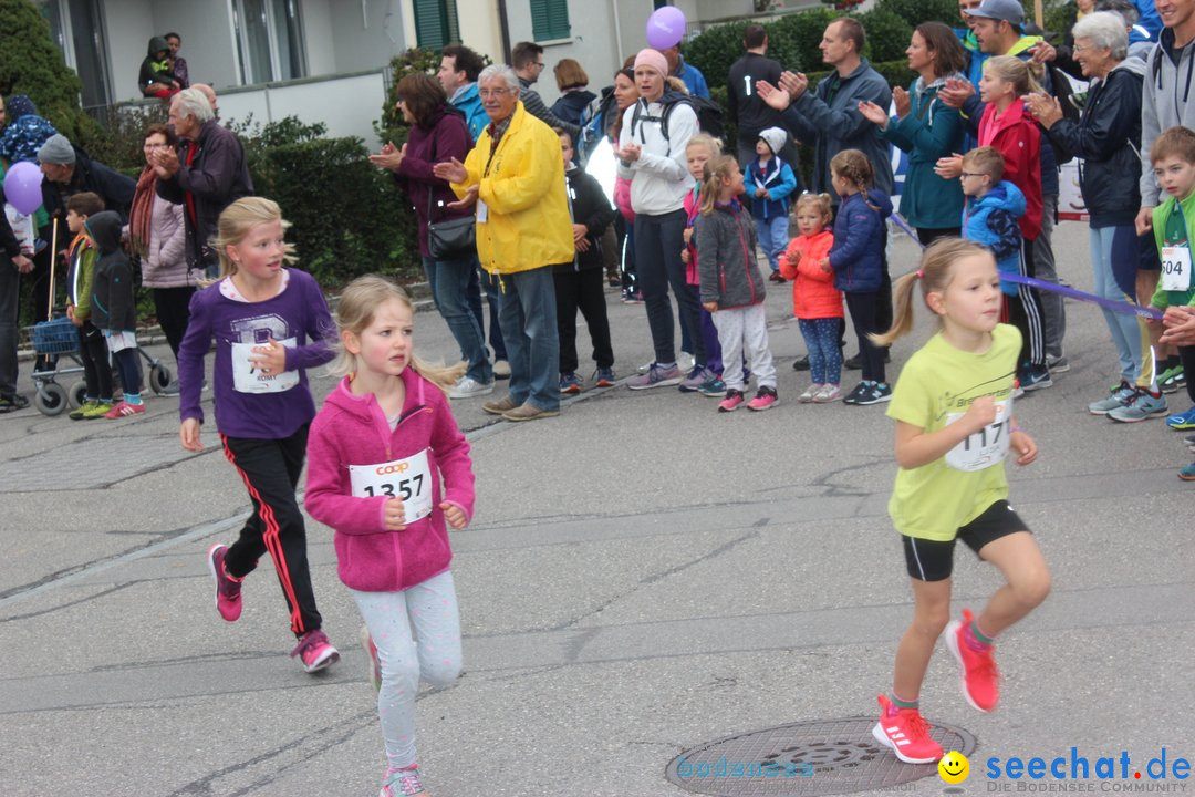 12. Bremgartenlauf - Lauf und Walking Event: Bremgarten - Bern, 20.10.2019