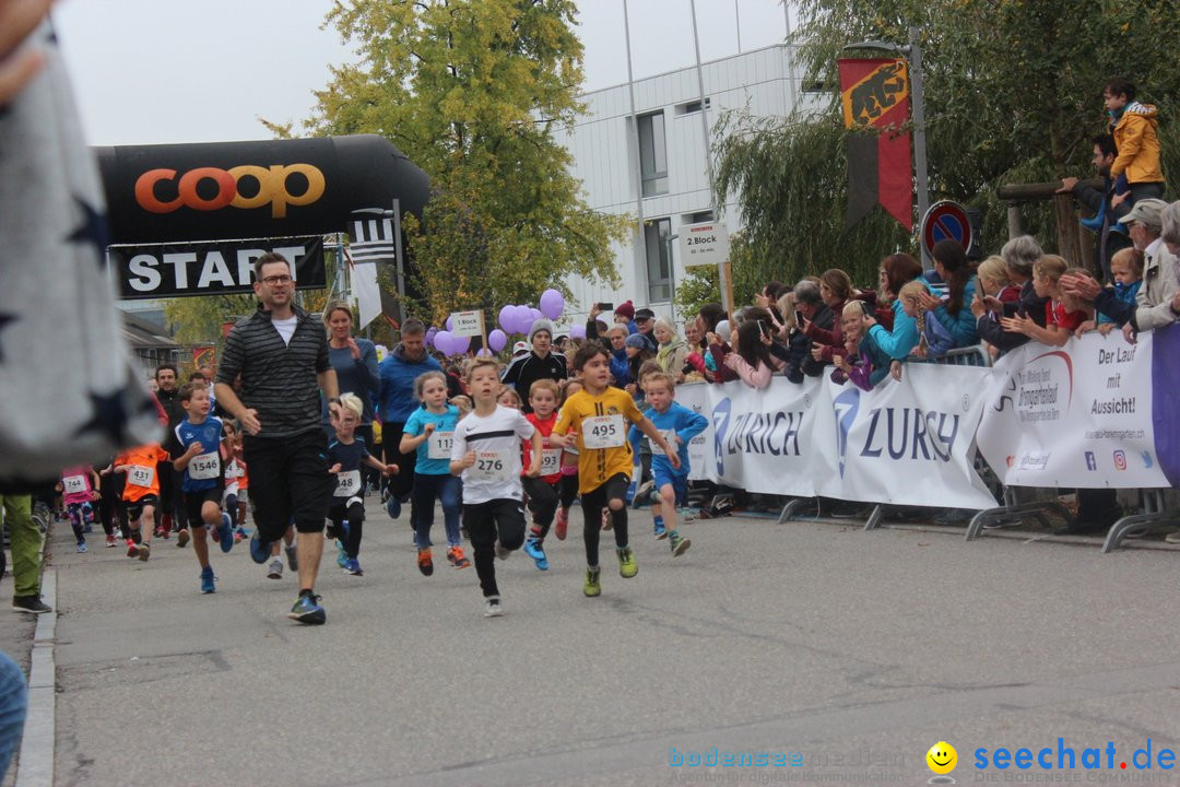 12. Bremgartenlauf - Lauf und Walking Event: Bremgarten - Bern, 20.10.2019