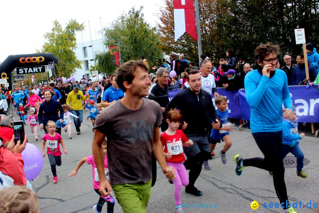 12. Bremgartenlauf - Lauf und Walking Event: Bremgarten - Bern, 20.10.2019