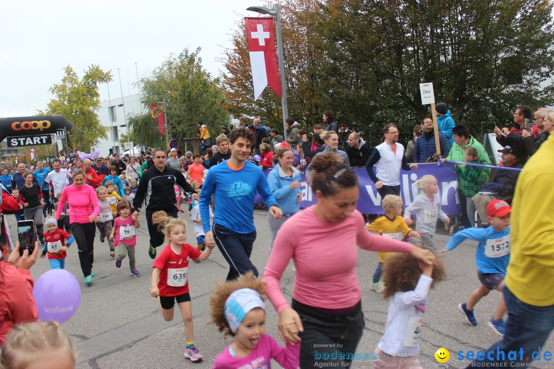 12. Bremgartenlauf - Lauf und Walking Event: Bremgarten - Bern, 20.10.2019