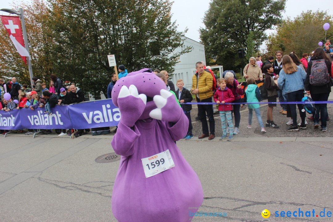 12. Bremgartenlauf - Lauf und Walking Event: Bremgarten - Bern, 20.10.2019