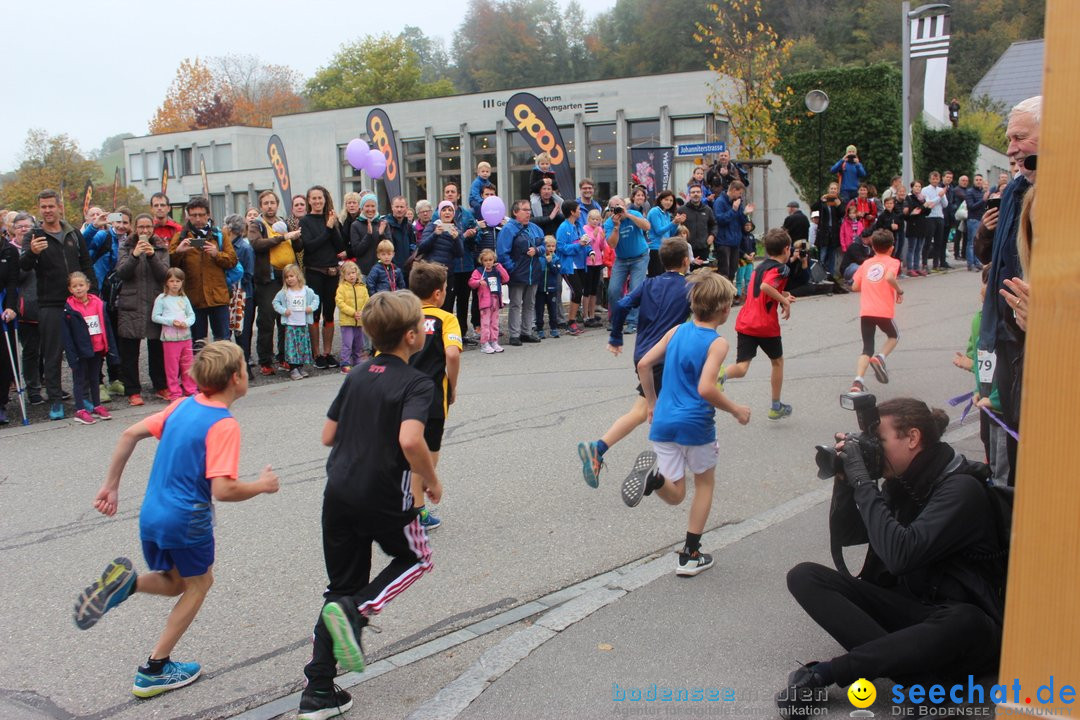 12. Bremgartenlauf - Lauf und Walking Event: Bremgarten - Bern, 20.10.2019