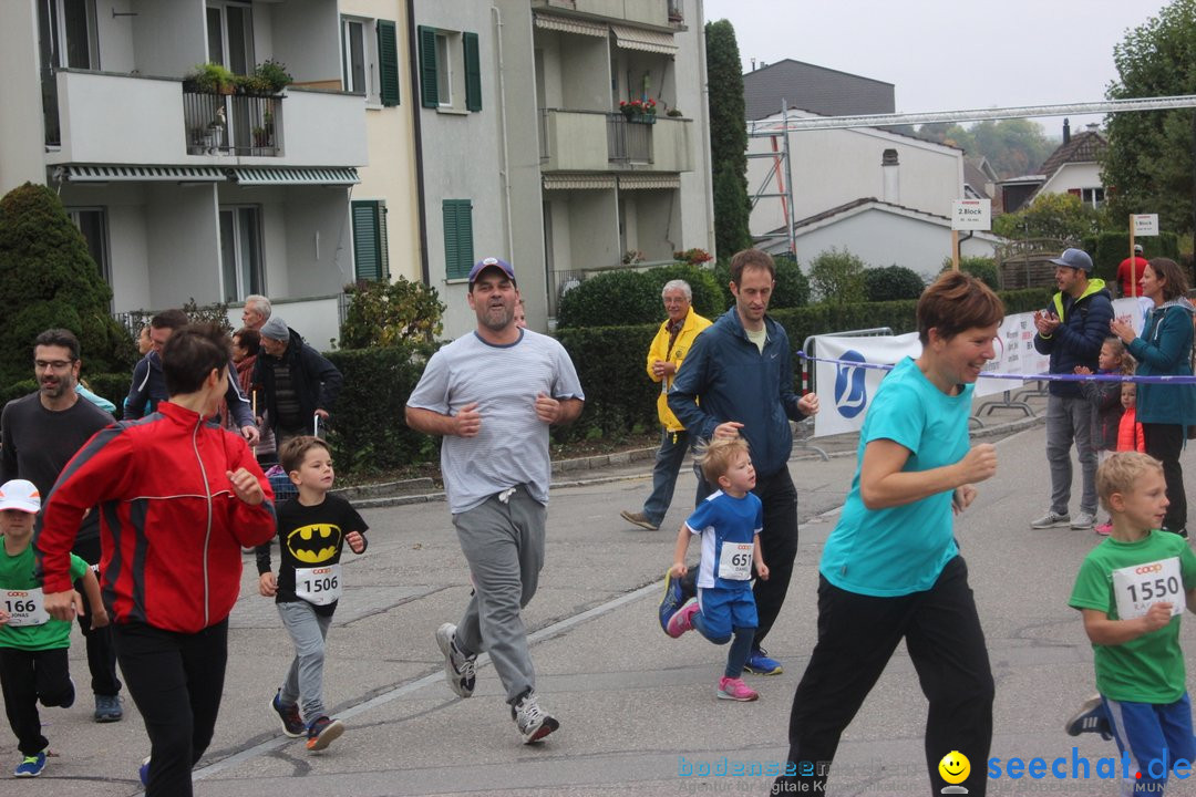 12. Bremgartenlauf - Lauf und Walking Event: Bremgarten - Bern, 20.10.2019