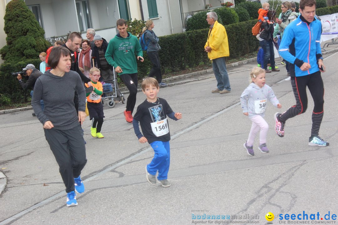 12. Bremgartenlauf - Lauf und Walking Event: Bremgarten - Bern, 20.10.2019